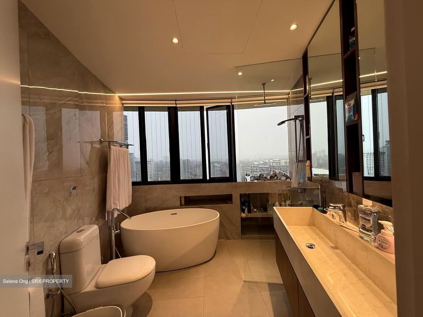 The Draycott (D10), Apartment #568240321